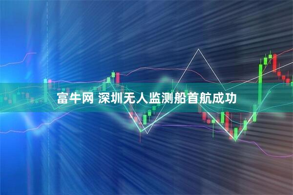 富牛网 深圳无人监测船首航成功