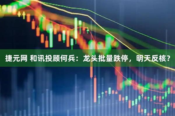 捷元网 和讯投顾何兵：龙头批量跌停，明天反核？