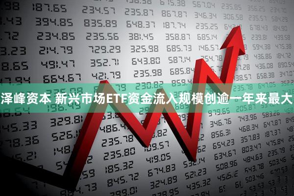 泽峰资本 新兴市场ETF资金流入规模创逾一年来最大